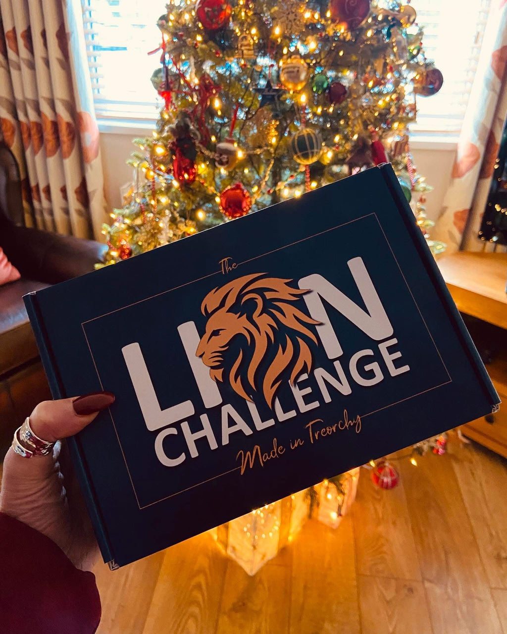 The Lion Challenge - Large 100 Game (1,500 questions)